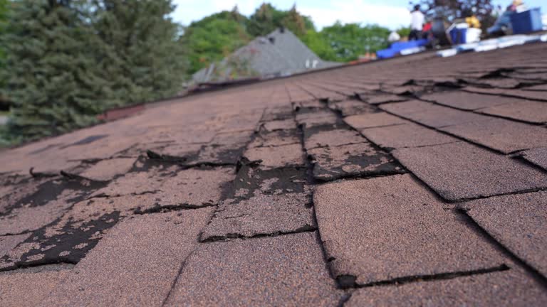 Best Roof Maintenance and Cleaning  in Quakertown, PA