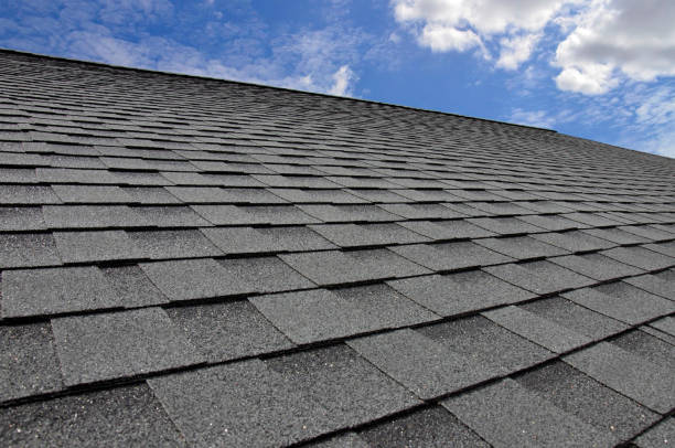 Best Roof Maintenance and Cleaning  in Quakertown, PA